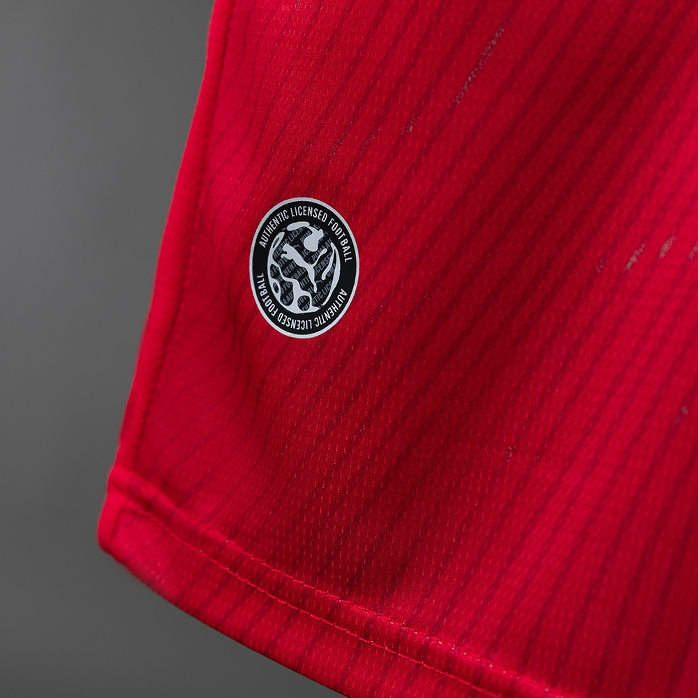 Switzerland 2026 Home Kit
