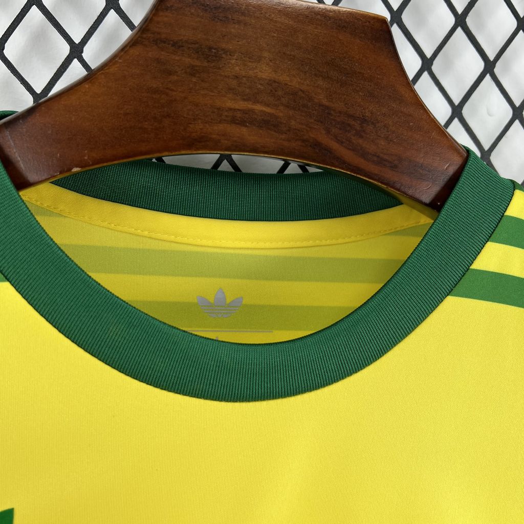 Brazil 1984 Home Kit
