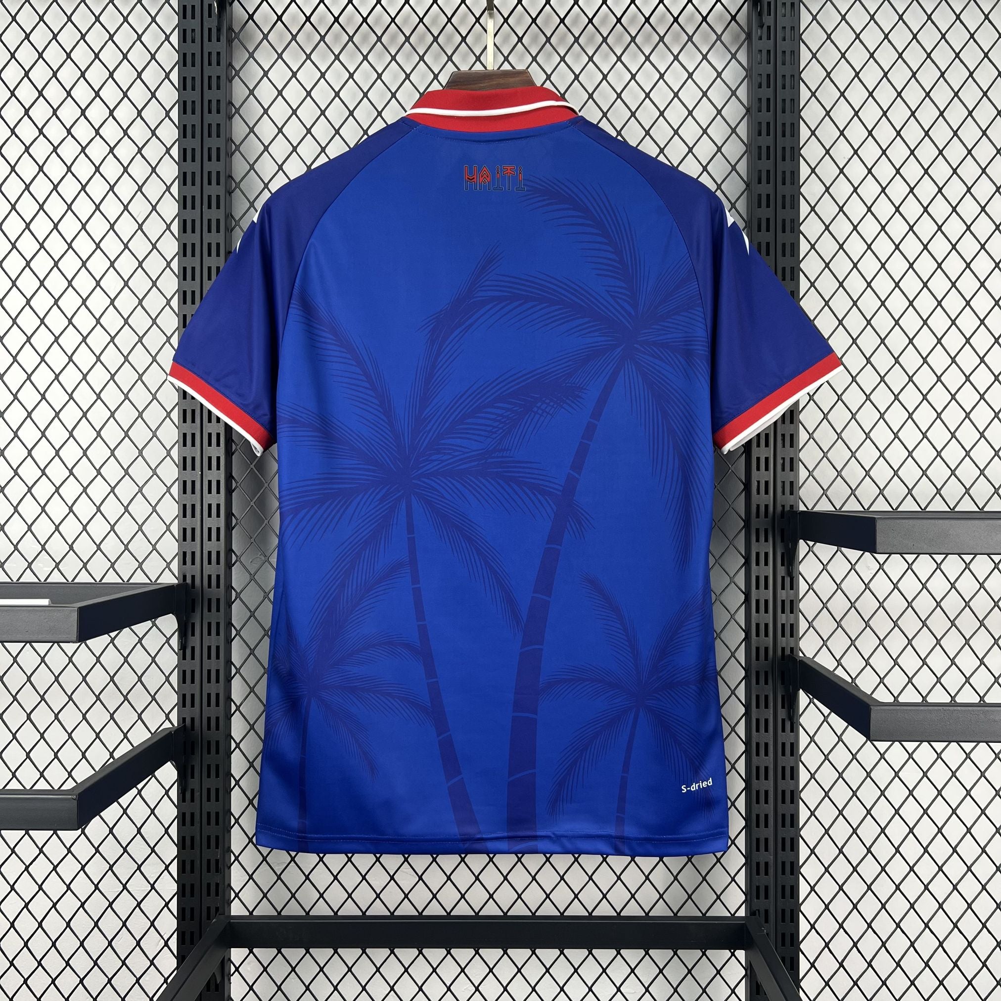 Haiti 2026 Home Kit
